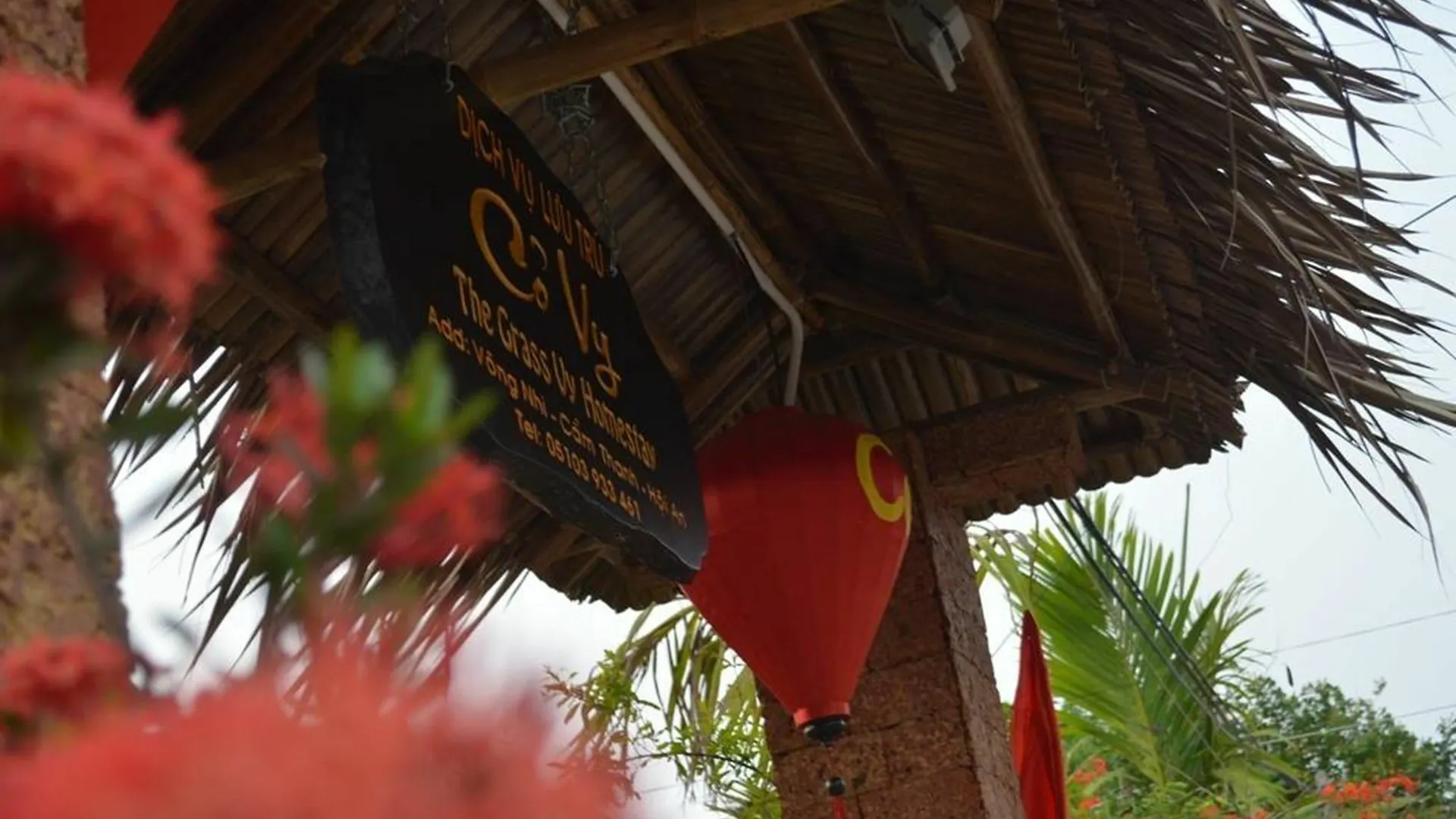 The Grass Vy Appartement Hội An Accommodatie bij particulieren